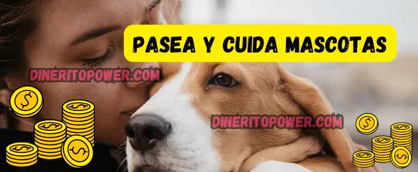 como ganar dinero paseando perros